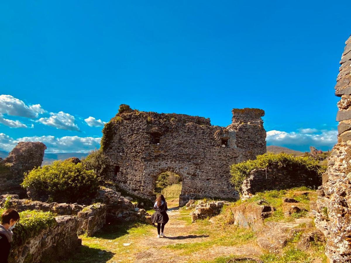 Appartamento Fringiulì House Trevignano Romano Esterno foto