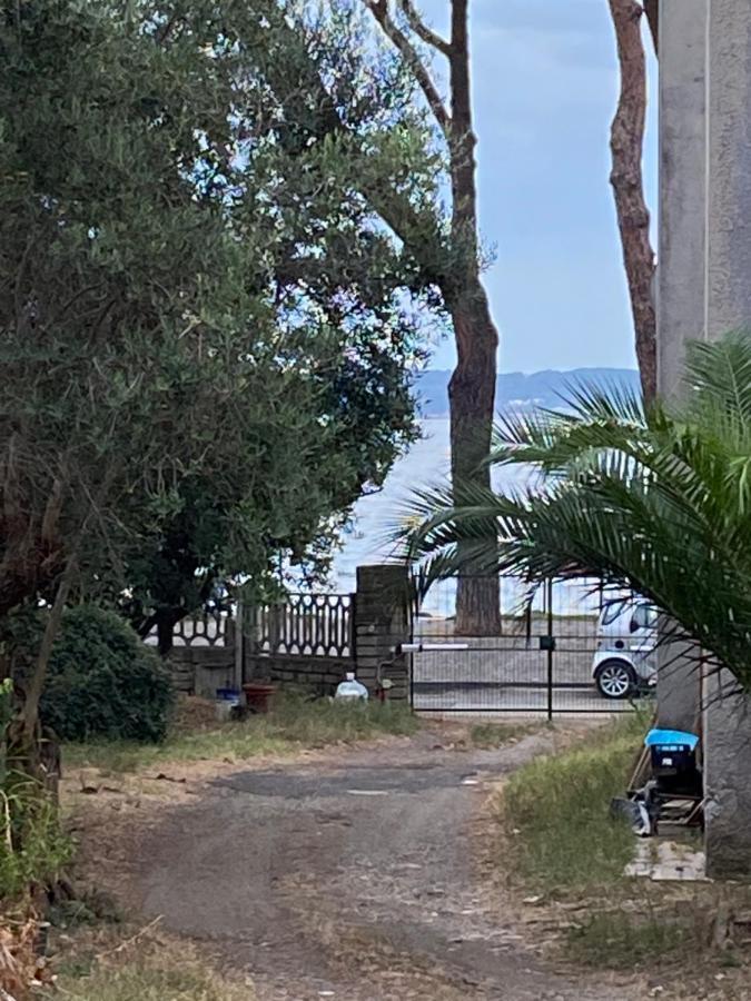Appartamento Fringiulì House Trevignano Romano Esterno foto